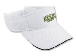 visor